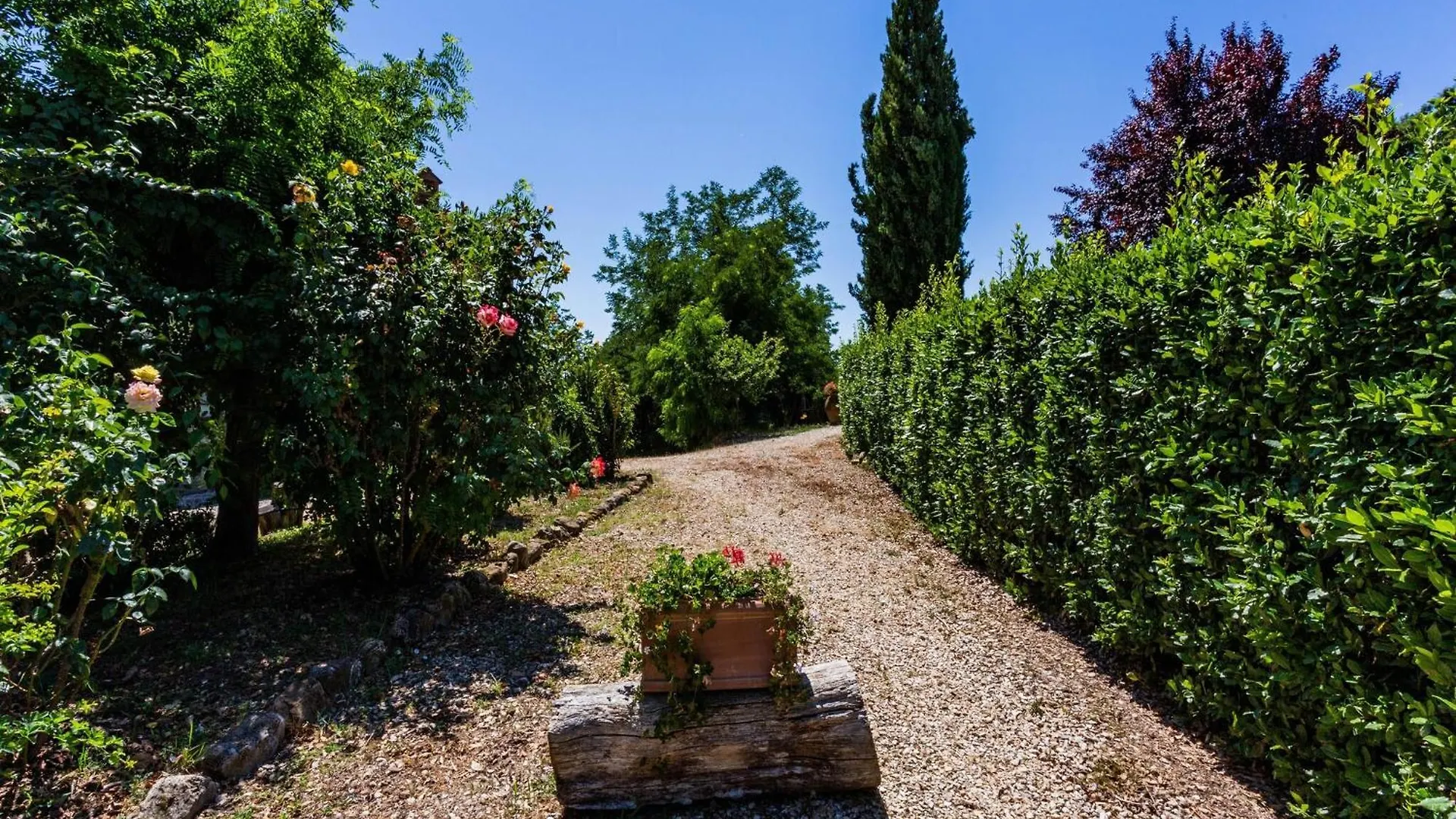 Scenic Apartment In Casole D Elsa With Pool Casole dʼElsa Italia